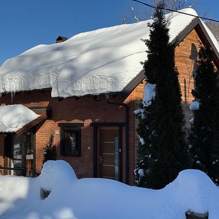 Villa Alpina 布雷佐维察 外观 照片