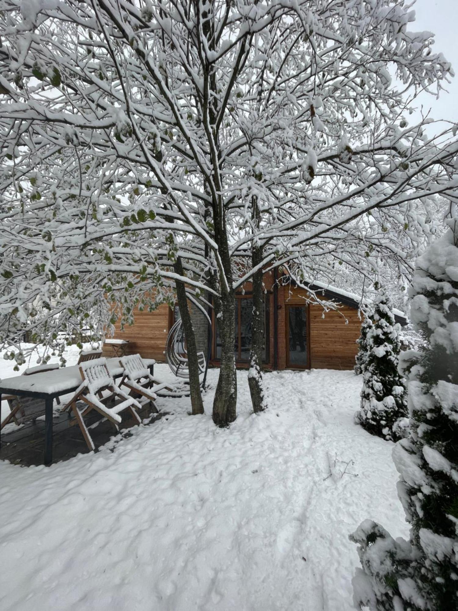 Villa Alpina 布雷佐维察 外观 照片